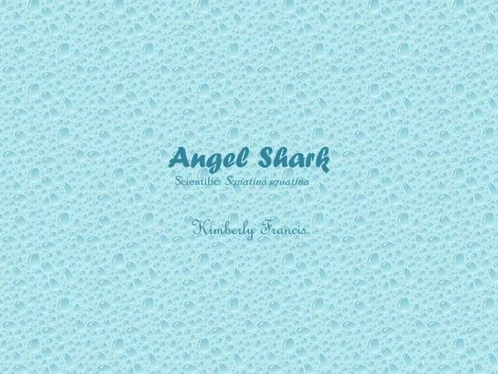 angel shark