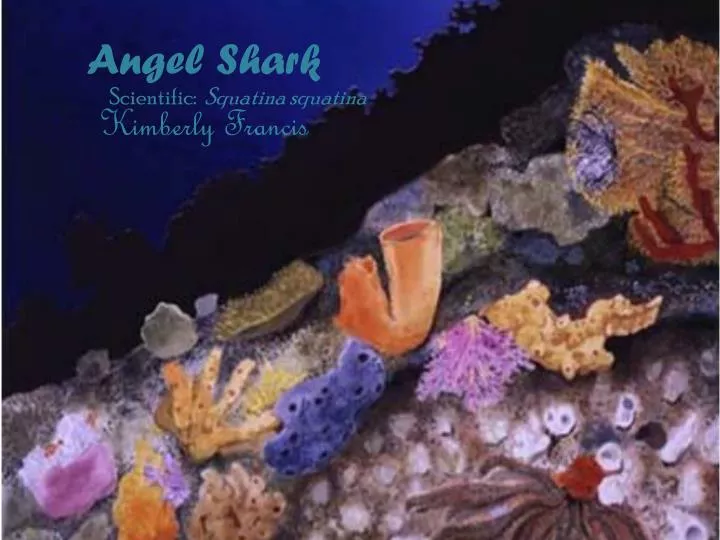 angel shark