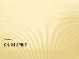Ch. 24 Spine