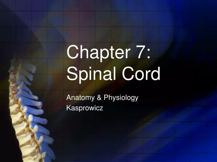 chapter 7 spinal cord