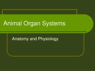 Animal Organ Systems