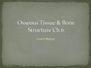 Osseous Tissue &amp; Bone Structure Ch 6