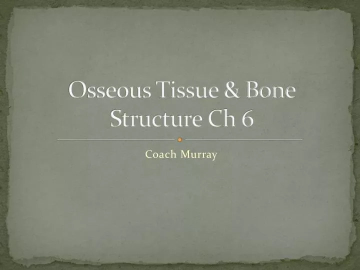 osseous tissue bone structure ch 6