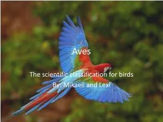 Aves