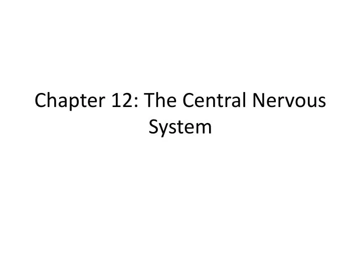 chapter 12 the central nervous system