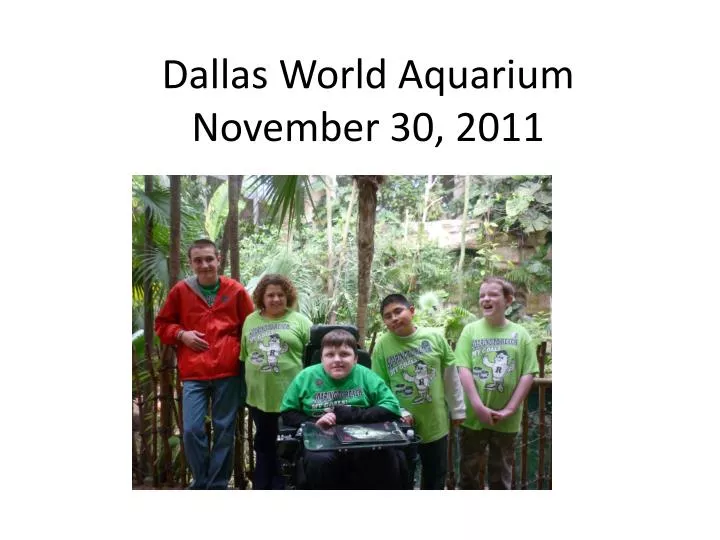 dallas world aquarium november 30 2011