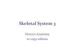 Understanding the Appendicular Skeleton: Pectoral and Pelvic Girdles - slide 1