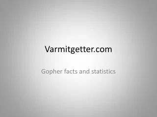 Varmitgetter.com