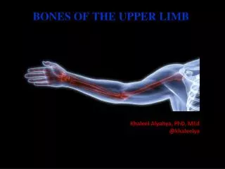 BONES OF THE UPPER LIMB