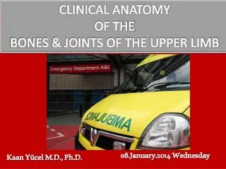 CLINICAL ANATOMY OF THE BONES &amp; JOINTS OF THE UPPER LIMB