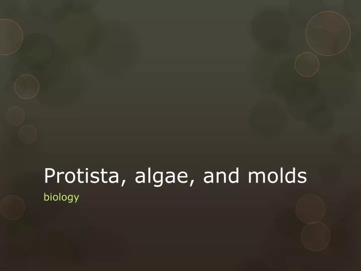 protista algae and molds