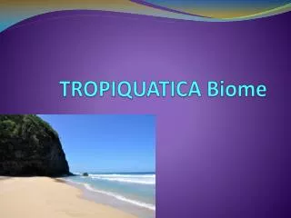 TROPIQUATICA Biome