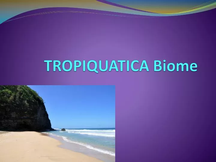 tropiquatica biome