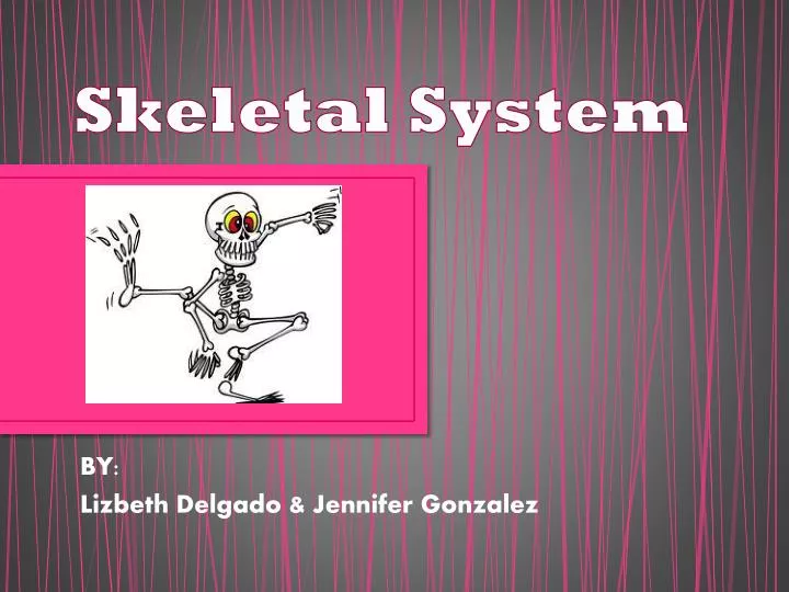 skeletal system