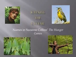 Katniss the Cattail