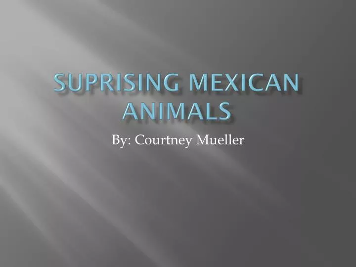 suprising mexican animals