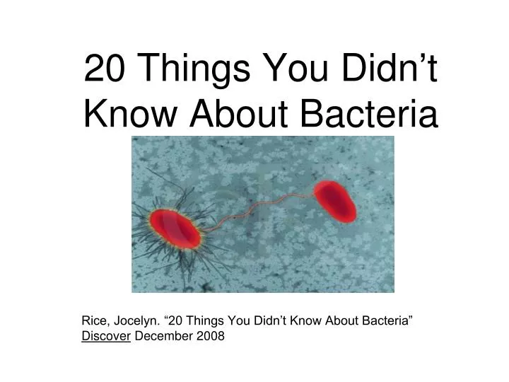 20 things you didn t know about bacteria