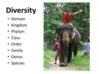 Diversity