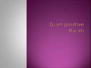 Gram positive Bacilli