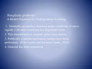 Naegleria gruberia A Model Organism for Undergraduate Learning