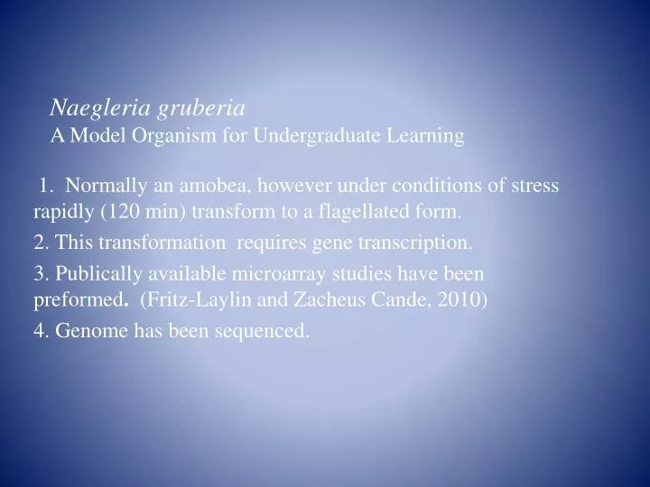 naegleria gruberia a model organism for undergraduate learning