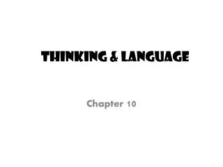 Thinking &amp; Language