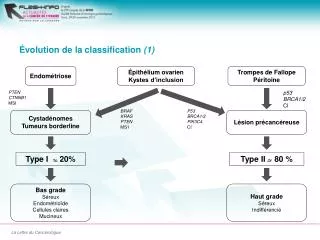 volution de la classification 1