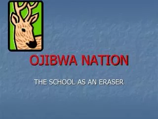 OJIBWA NATION