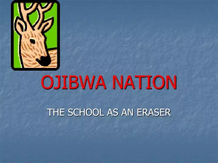 ojibwa nation