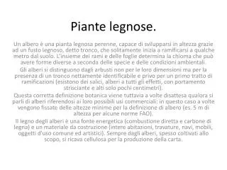 piante legnose