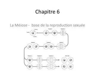 chapitre 6