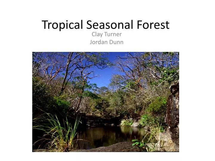 tropical seasonal forest