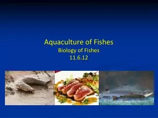 Aquaculture of Fishes Biology of Fishes 11.6.12