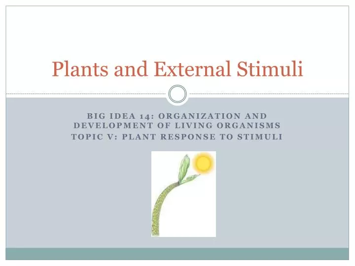 plants and external stimuli