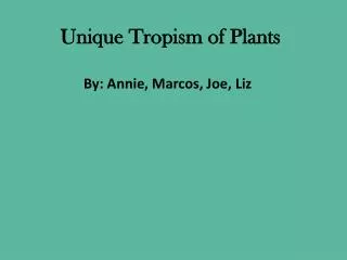 Unique Tropism of Plants