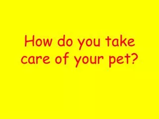 How do you take care of your pet?