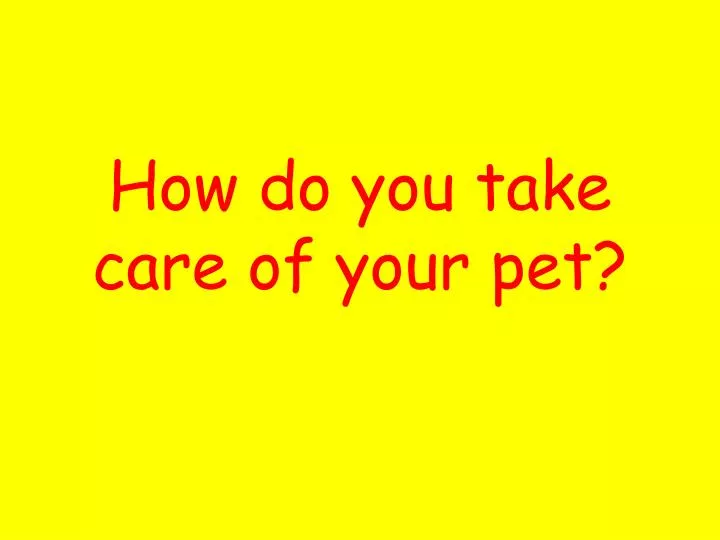 how do you take care of your pet