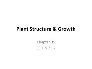 Plant Structure &amp; Growth