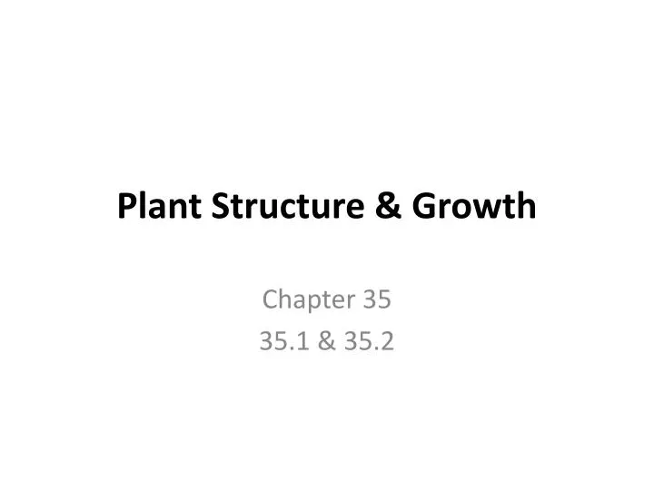 plant structure growth