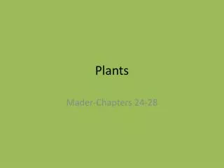 Plants