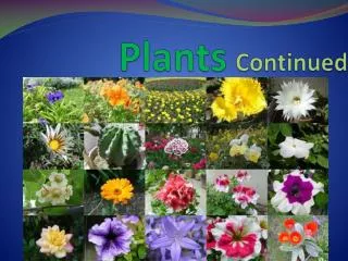 Plants Continued