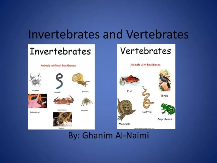 invertebrates and vertebrates