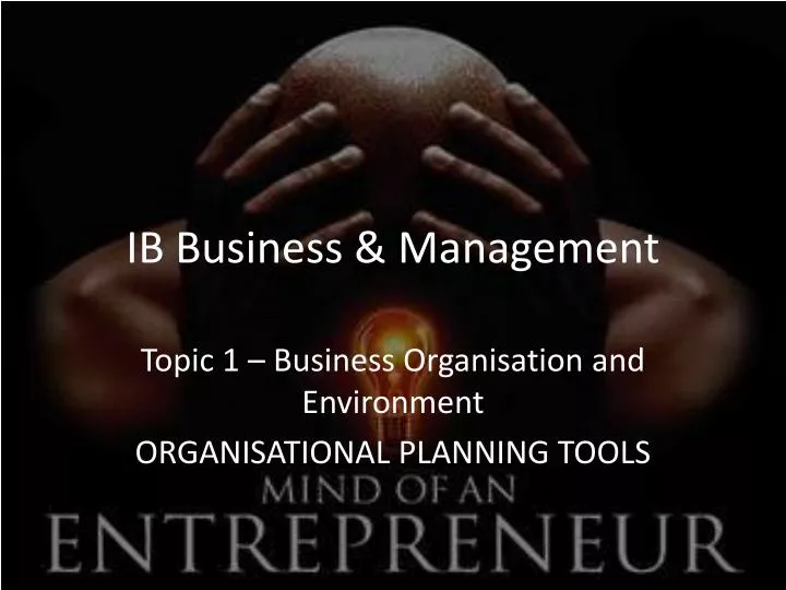 ib business management