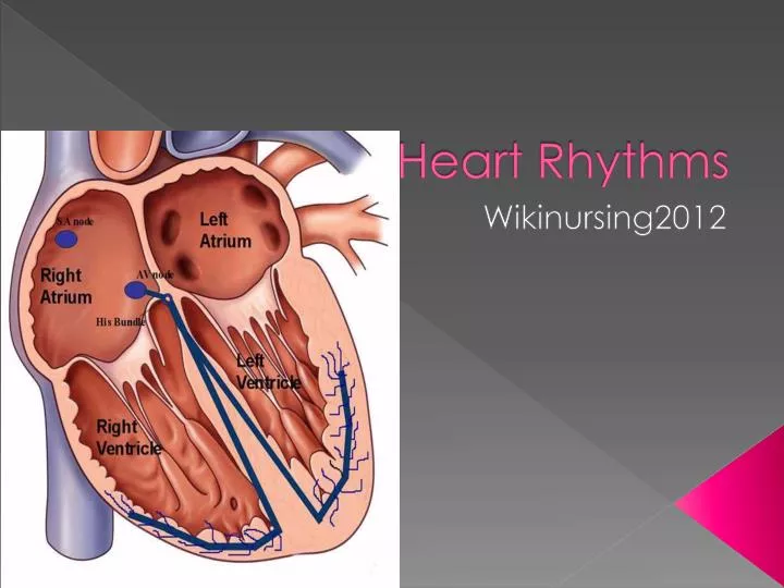 heart rhythms