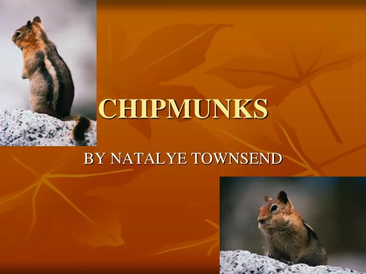 chipmunks