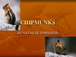 CHIPMUNKS - slide 1