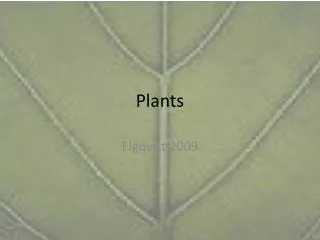 Plants