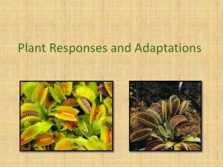 Plant Responses and Adaptations