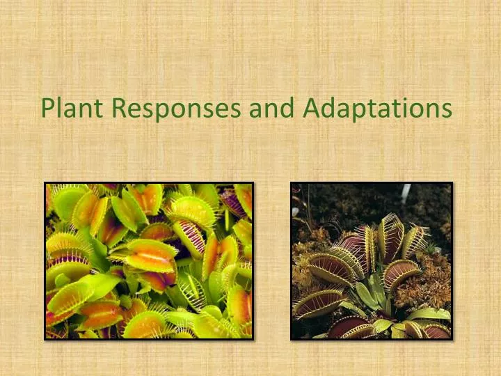 plant responses and adaptations