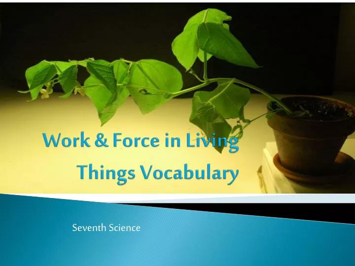 work force in living things vocabulary